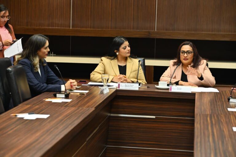 Votar por este dictamen es votar por la paz: Carmen de la Rosa Mendoza Votar por este dictamen es votar por la paz: Carmen de la Rosa Mendoza