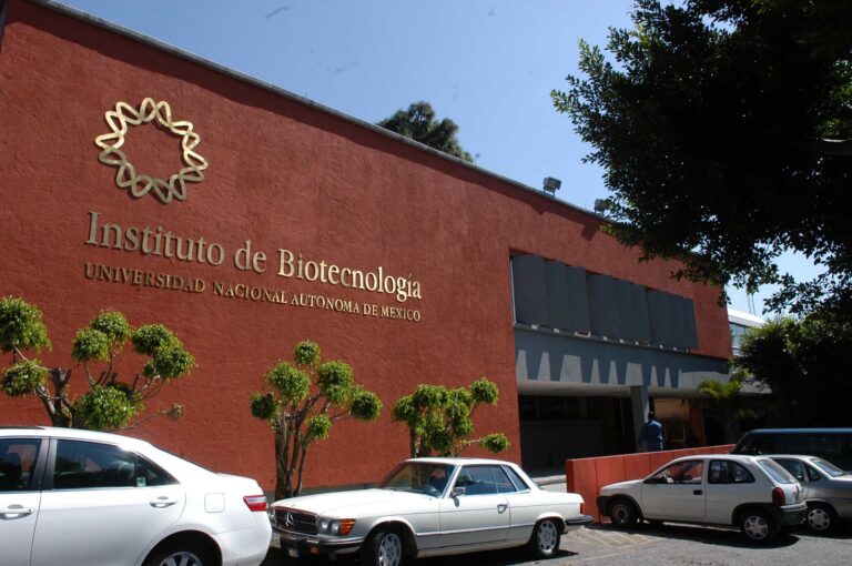 Desarrollan antiveneno basado en anticuerpos que protege contra las serpientes más letales de África