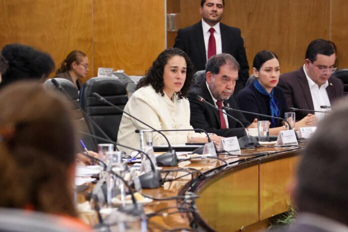 Cualquier reforma que aspire a mejorar nuestra democracia debe apoyarse en información precisa: Amalia Pulido