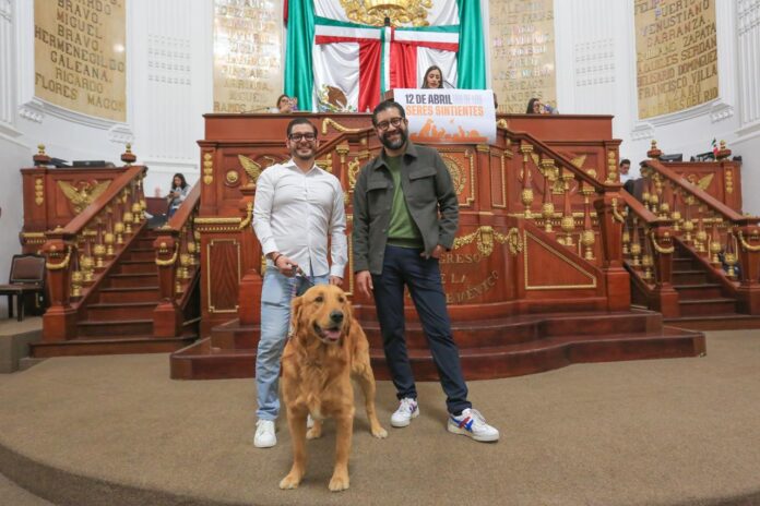 CDMX instituye el 12 de abril como el Día de los Seres Sintientes para fortalecer la protección animal