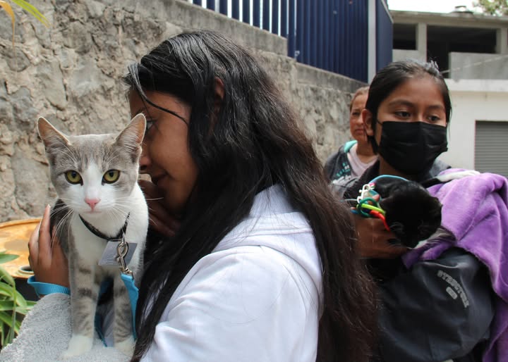 Huixquilucan se consolida como referente nacional en cuidado animal con 750 esterilizaciones gratuitas