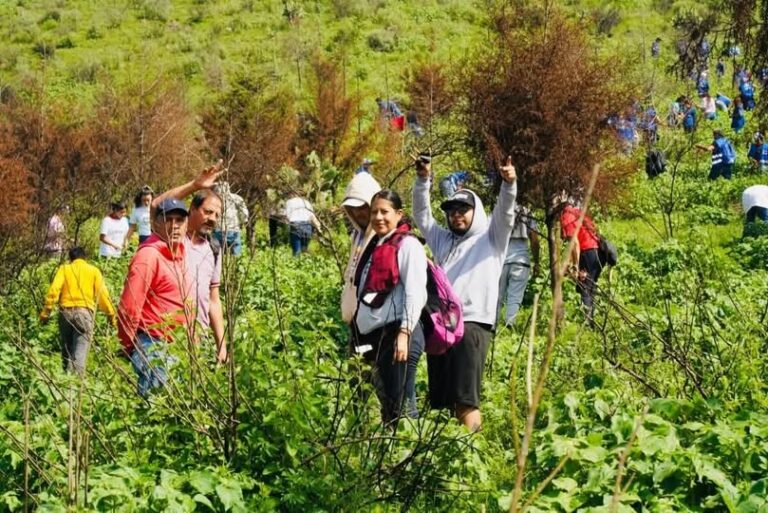 La sostenibilidad es un pilar indispensable para el bienestar humano: Raciel Pérez