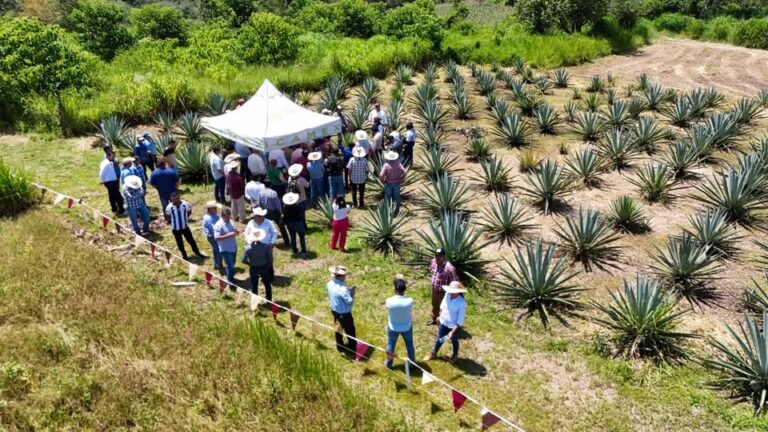 Edomex consolida una década de trabajo científico y artesanal Edomex consolida una década de trabajo científico y artesanal