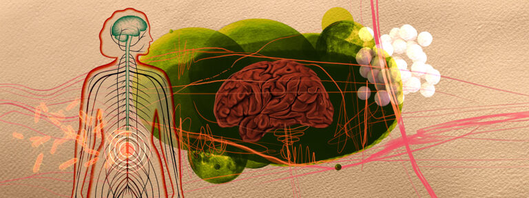 El parkinson podría iniciar en el intestino, no en el cerebro
