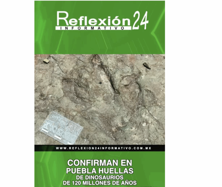 🎥CápsulaR24 De la tragedia vial al estreno mundialista