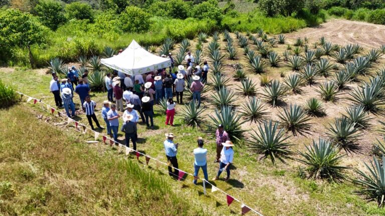 Edomex consolida una década de trabajo científico y artesanal