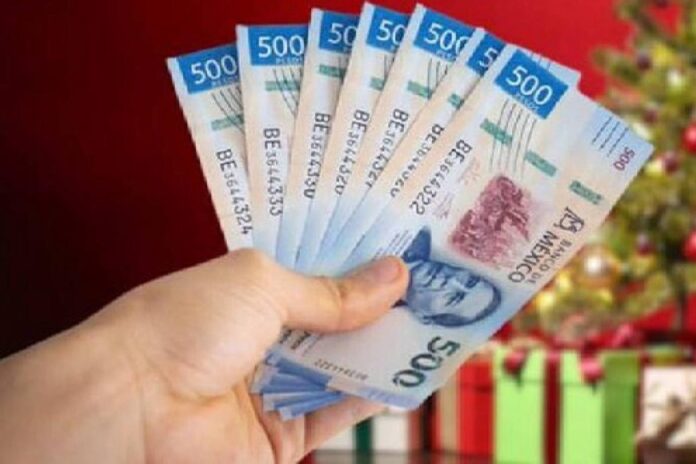 WhatsApp Image 2025-12-12 at 10.46.20 PM