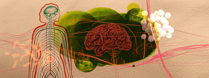 gut-brain-axis-1600x600
