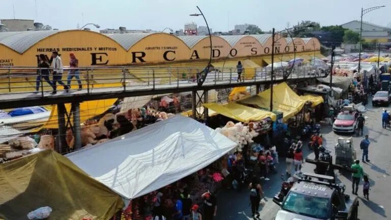 Reforzarán vigilancia en el Mercado de Sonora para evitar venta ilegal de animales