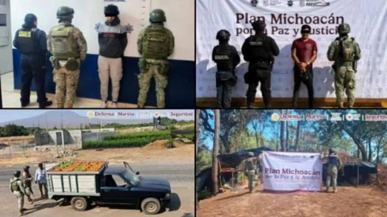 Plan Michoacán: detienen a 12 personas e inhabilitan toma clandestina