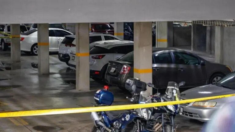 Reporta Sheinbaum caída histórica de 40% en homicidios dolosos al cierre de 2025