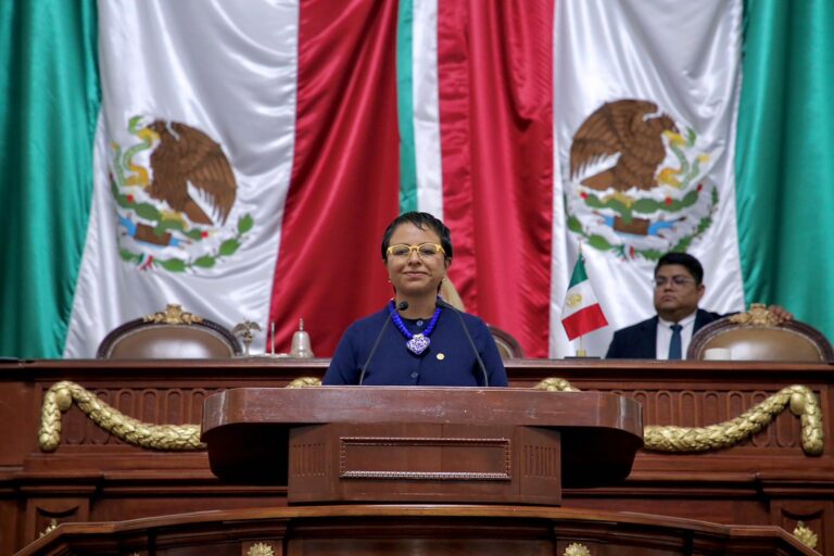 Liz Salgado impulsa reforma para garantizar mantenimiento permanente de cámaras