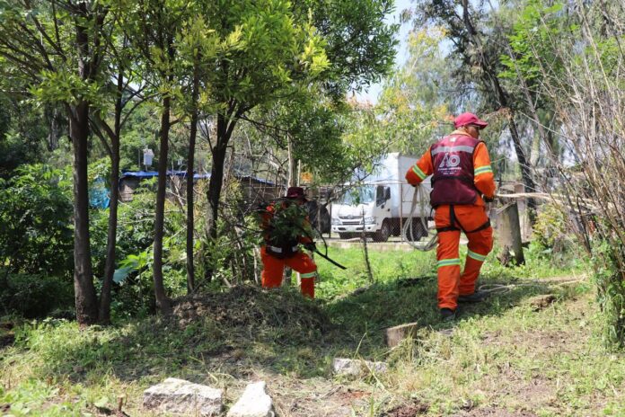 🚛♻️ Álvaro Obregón acelera rumbo a la certificación verde con nuevos camiones y rescate de barrancas