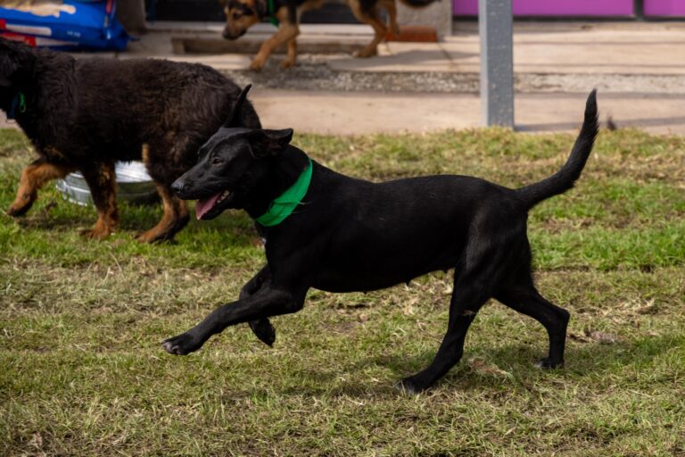 “No hay nada que esconder”: Brugada