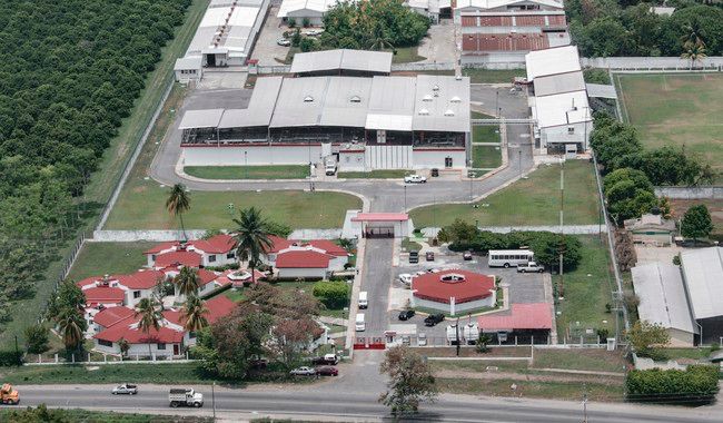 Avanza 50% planta de moscas estériles en Chiapas; clave para erradicar gusano barrenador