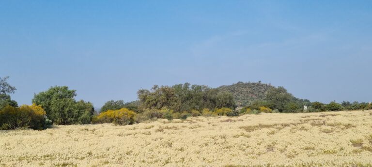 Se esperan altas temperaturas en algunos estados de México