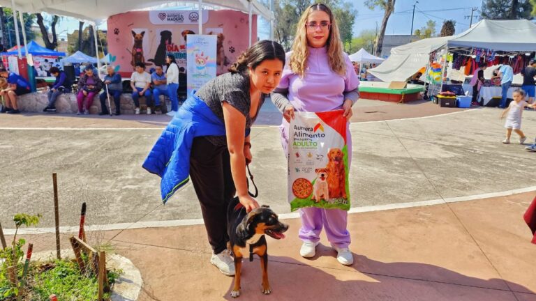 Treinta y cinco perros rescatados durante el Operativo Basílica ya tienen hogar en la GAM