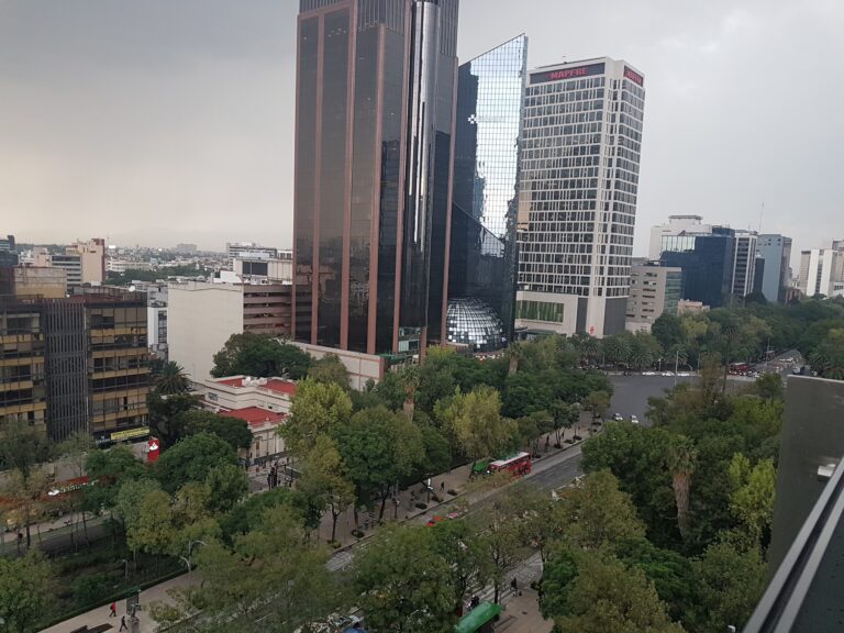 Hoy No Circula: autos con engomado azul descansan este viernes en CDMX y Edomex