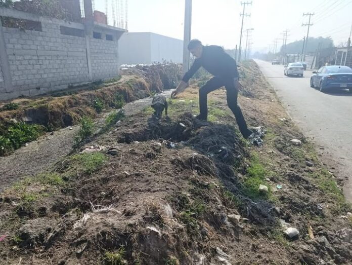 Guardia Civil de Tecámac rescata a cachorro que cayó en canal de aguas negras