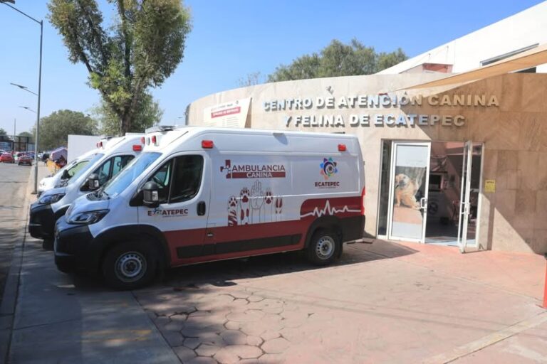Ecatepec incorpora ambulancias veterinarias para rescate y atención animal