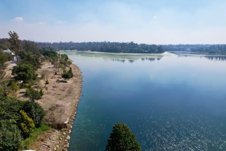 Limpian lirio y lentejilla de la Presa de Guadalupe; reportan recuperación ambiental en Cuautitlán Izcalli