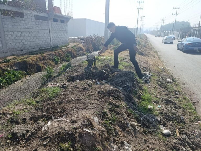 Guardia Civil de Tecámac rescata a cachorro que cayó en canal de aguas negras