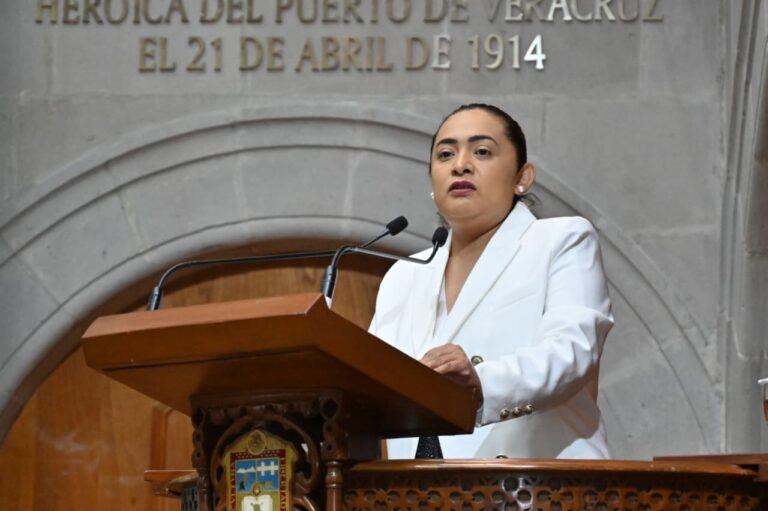 Van contra delitos con drones en Edomex: Carmen De la Rosa Mendoza