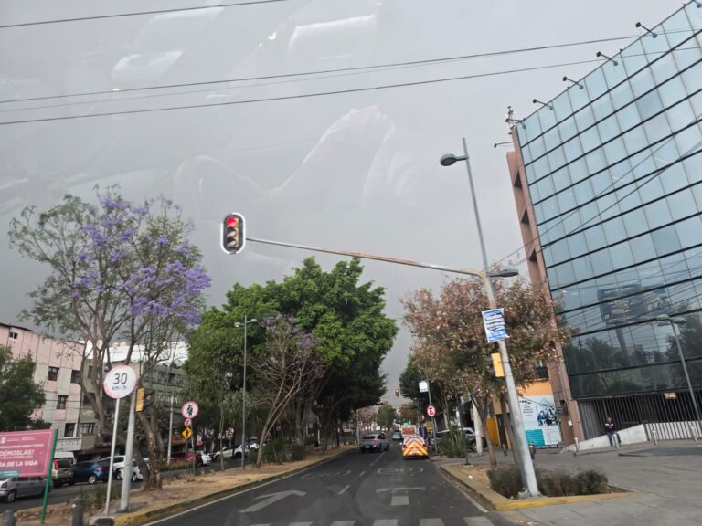Activan Alerta Amarilla por frío en CDMX: temperaturas de hasta 4 grados en Tlalpan y Milpa Alta