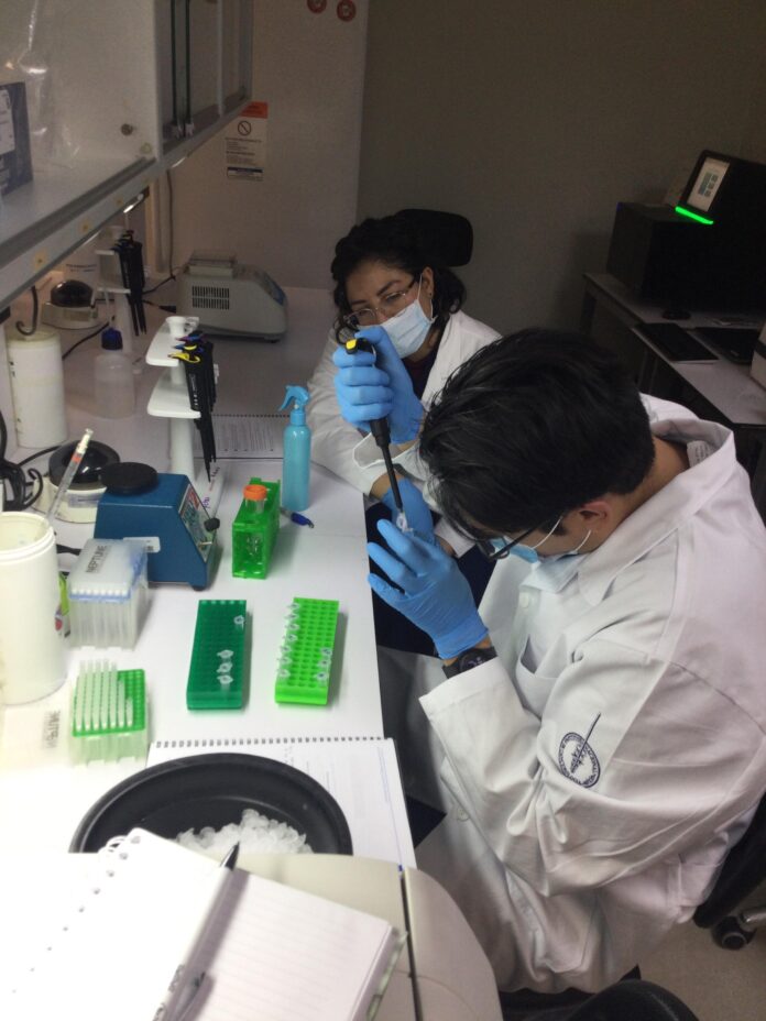 INCan fortalece diagnóstico molecular contra el cáncer con nueva Unidad de Genotipificación