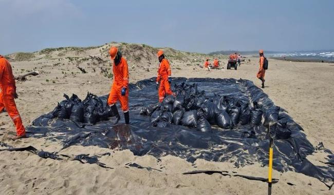 Derrame de petróleo en el Golfo de México enciende alerta: más de 600 km de costa afectados
