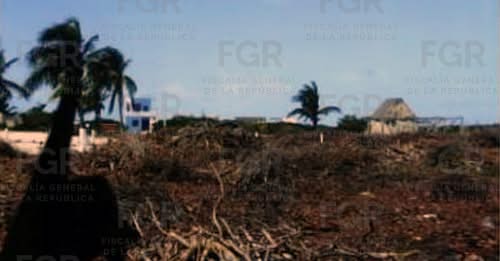 FGR frena daño ambiental en Yucatán