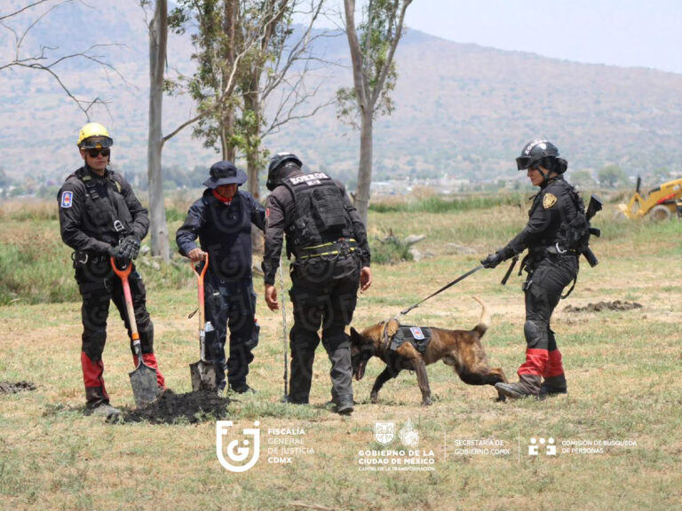 Hallan 317 restos óseos en zona del Lago de Chalco