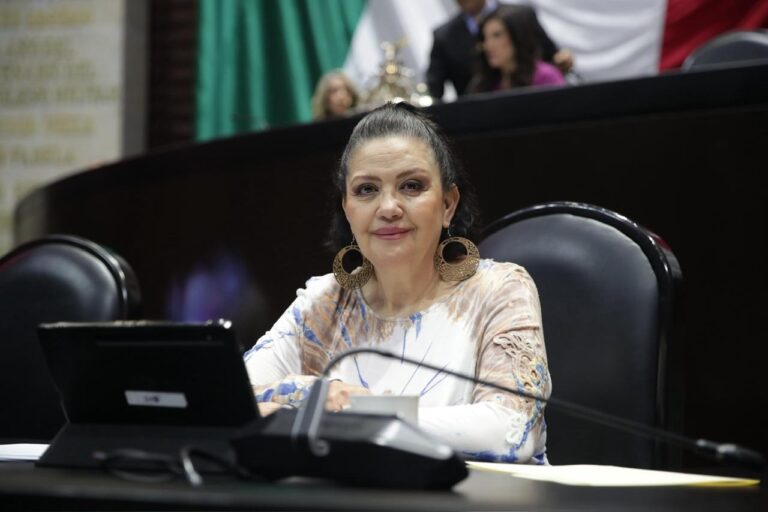 “Se debe poner el ojo en estas clínicas”: Magdalena Núñez