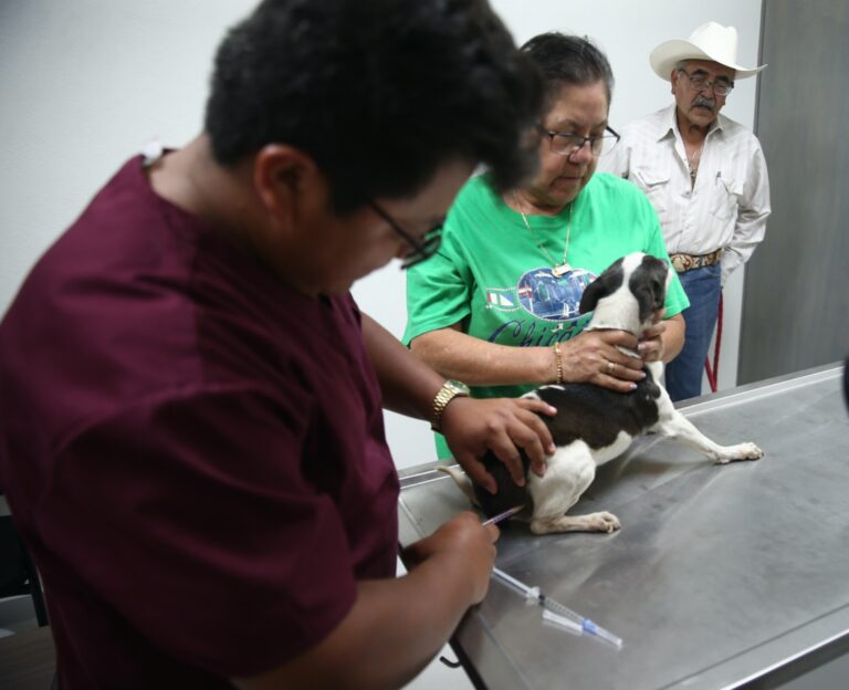 Edomex impulsa agenda de bienestar animal