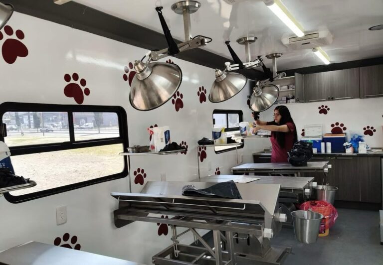 Tecámac impulsa esterilización gratuita con unidad móvil única en Edomex; buscan frenar sobrepoblación animal