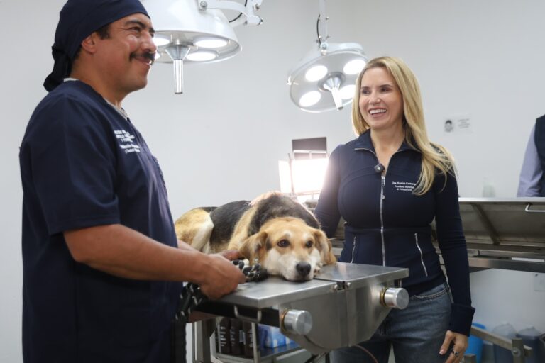 Hoy celebramos resultados sin precedentes en rescate y adopción animal: Romina Contreras