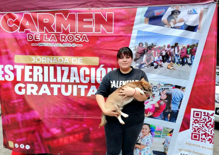 Impulsan jornadas gratuitas de esterilización animal en colonias de Nezahualcóyotl