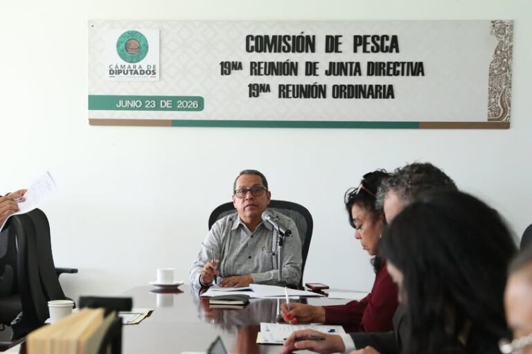 Impulsan en el Congreso Ley General de Bienestar Animal para reconocer a los animales como seres sintientes Impulsan en el Congreso Ley General de Bienestar Animal para reconocer a los animales como seres sintientes