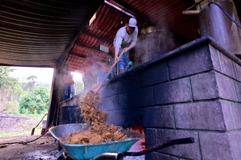 Edomex impulsa las Rutas de la Flor y el Mezcal para atraer turismo durante el Mundial 2026