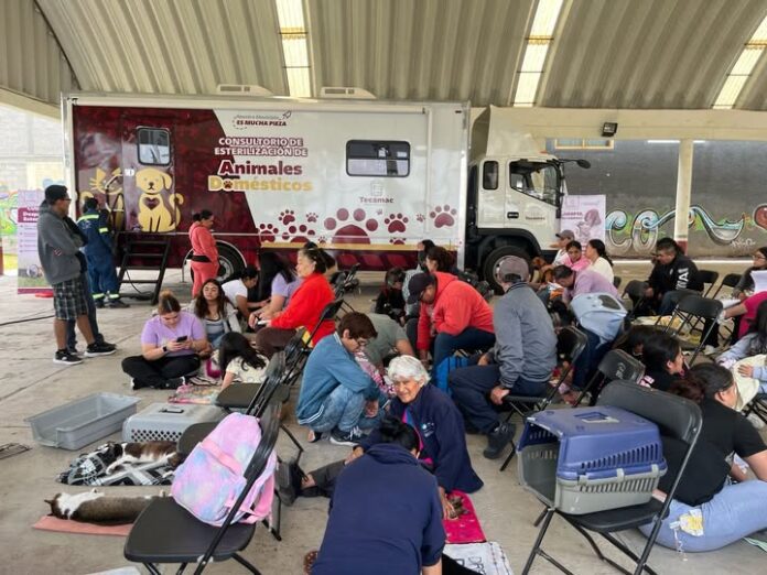 Superan las 4 mil esterilizaciones gratuitas de perros y gatos en Tecámac durante 2026