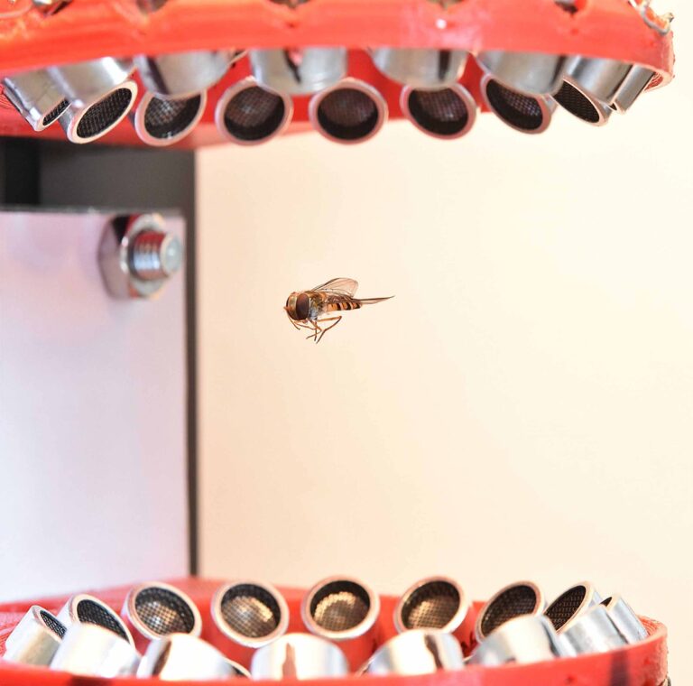 UNAM desarrolla trampa acústica que permite estudiar insectos vivos sin dañarlos UNAM desarrolla trampa acústica que permite estudiar insectos vivos sin dañarlos