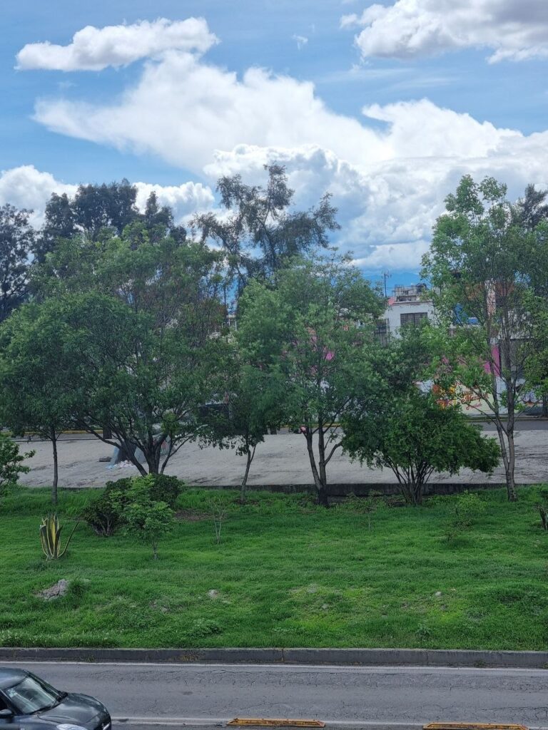 Activan Alerta Amarilla por fuertes vientos en 11 alcaldías de la Ciudad de México