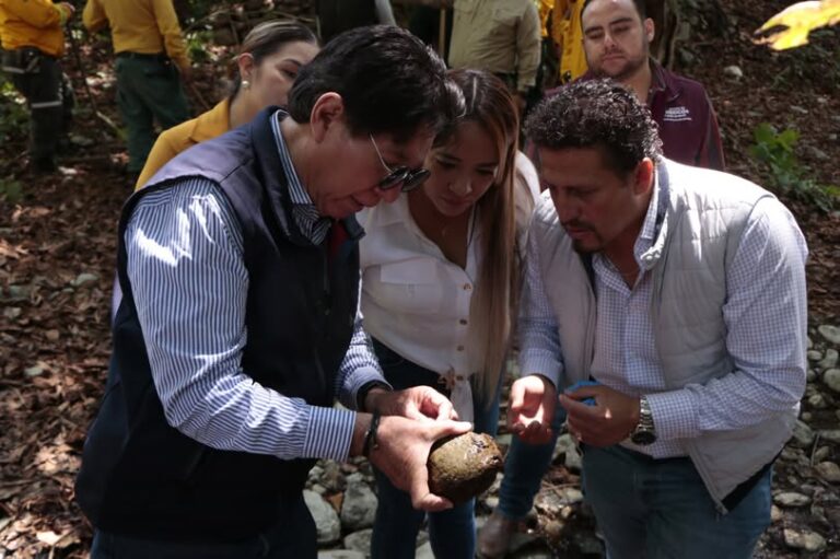 Inician limpieza de ríos y restauración forestal en el Estado de México durante la Semana de los Bosques