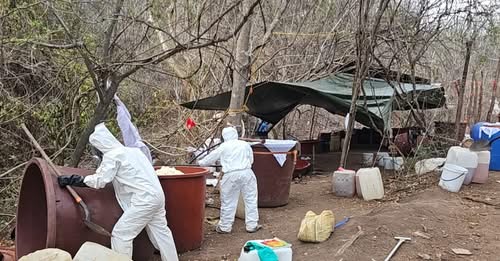 Marina y FGR desmantelan laboratorio clandestino en Sinaloa; aseguran 700 kilos de droga sintética