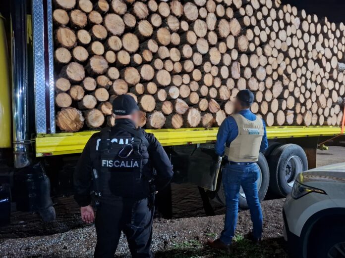 Detectan tala ilegal de más de mil árboles y daños ambientales en 23.9 hectáreas de Michoacán