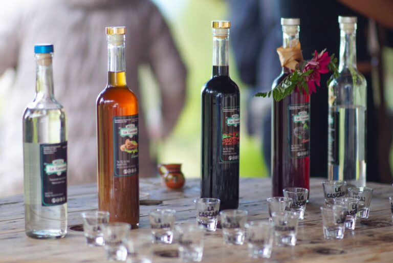 El Estado de México impulsa la Ruta del Mezcal y de la Flor para fortalecer economía y turismo en el sur de la entidad El Estado de México impulsa la Ruta del Mezcal y de la Flor para fortalecer economía y turismo en el sur de la entidad