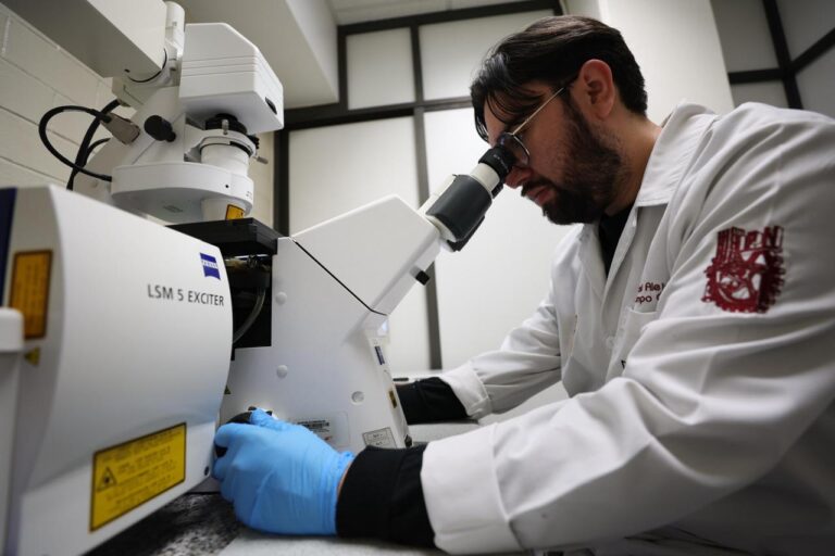 IPN se consolida entre las mejores universidades públicas de México y fortalece su presencia internacional IPN se consolida entre las mejores universidades públicas de México y fortalece su presencia internacional