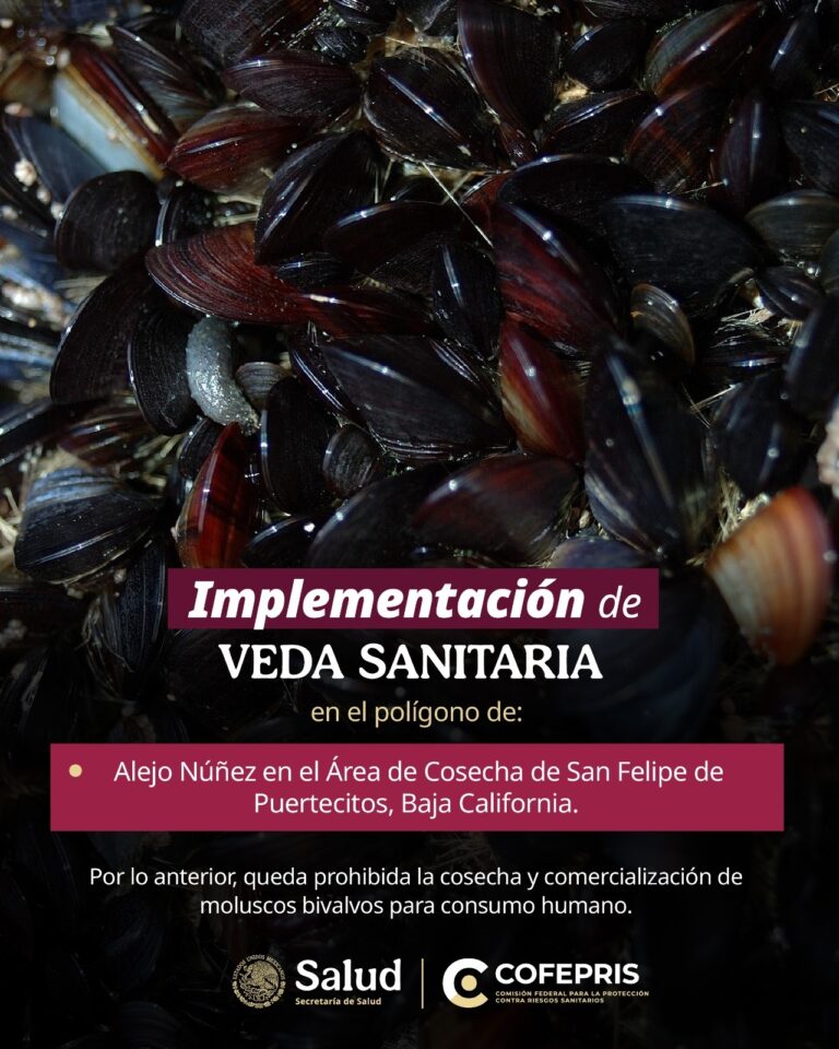 Activan veda sanitaria en zonas de cosecha de ostiones, almejas y mejillones por riesgo de toxinas marinas