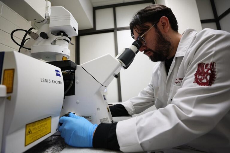 IPN se consolida entre las mejores universidades públicas de México y fortalece su presencia internacional