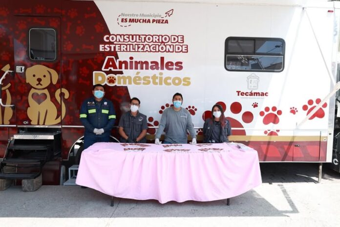 Tecámac mantiene jornadas gratuitas de esterilización para perros y gatos durante julio